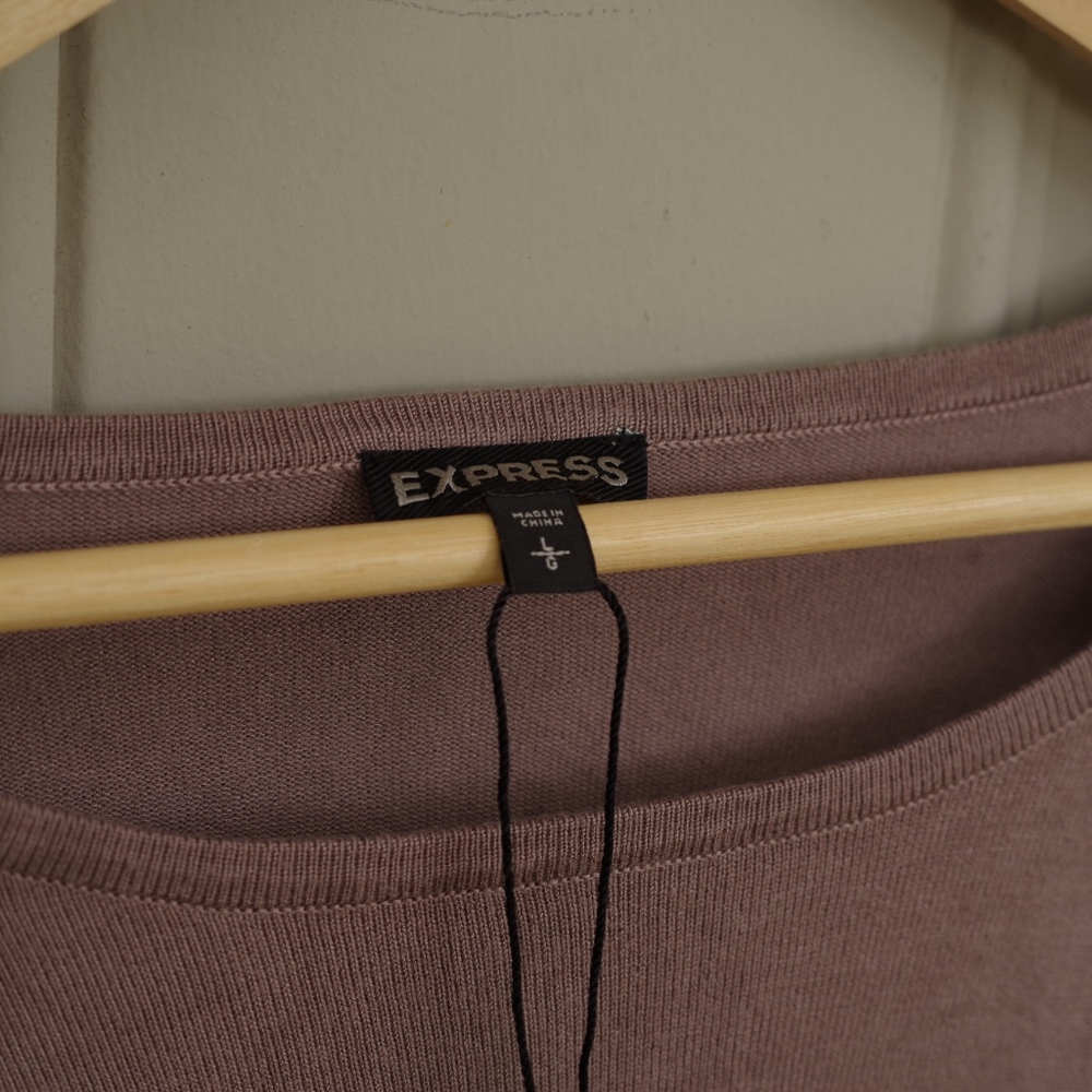 Express long sleeve dress